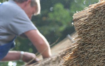 professional Dane Bank thatchers